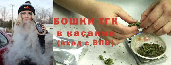индика Алексеевка
