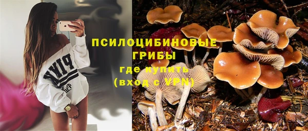 прущие крисы Алзамай