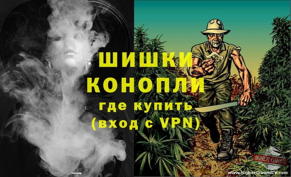 индика Алексеевка