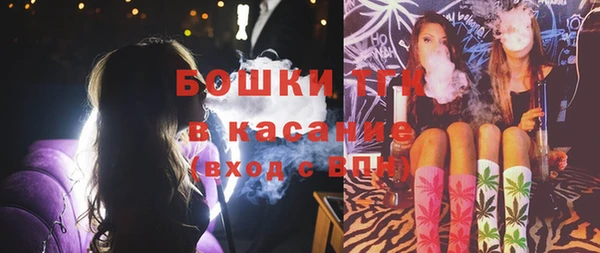 прущие крисы Алзамай